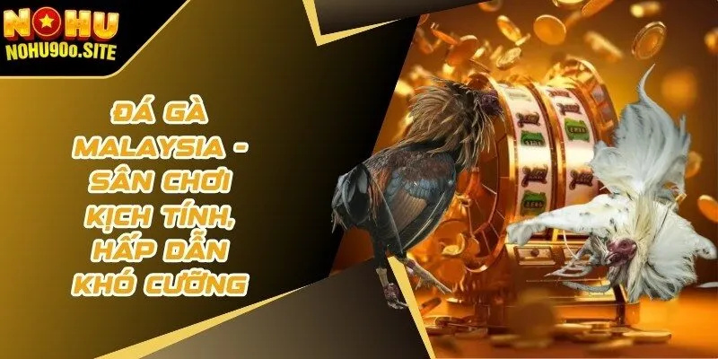 đá gà malaysia